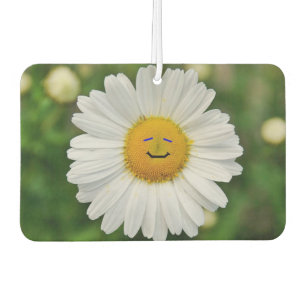 Ambientador Sonriente Daisy Air Freshener