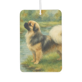 Ambientador Spaniel Tibetano