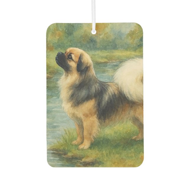 Ambientador Spaniel Tibetano (Anverso)