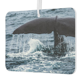 Ambientador Sperm Whale