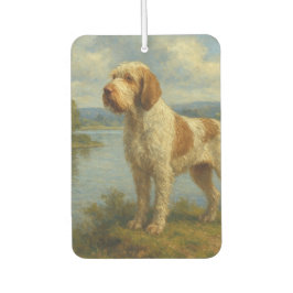 Ambientador Spinone Italiano