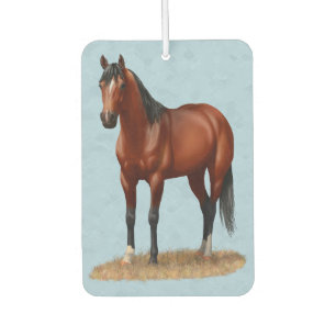 Ambientador Stallion de caballos del barrio de Brown Bay
