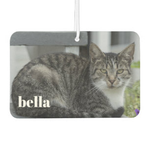 Ambientador Su nombre de gato y plantilla de fotos de Mascota