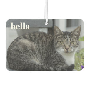 Ambientador Su nombre de Mascota y plantilla de fotos de gato