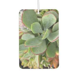 Ambientador Suculent Air Freshener