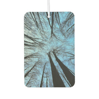 Ambientador Susurros del bosque de susurros