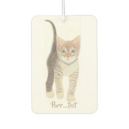 Ambientador Tabby Kitten