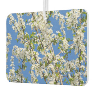 Ambientador Tema de flores primaverales lindas y cielo azul