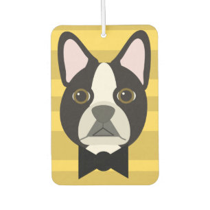 Ambientador Terrier de Boston