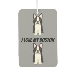 Ambientador Terrier de Boston