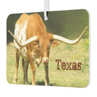 Ambientador Texas Longhorn