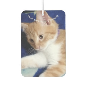 Ambientador Texto de foto de gato, mamá conduce con cuidado, p