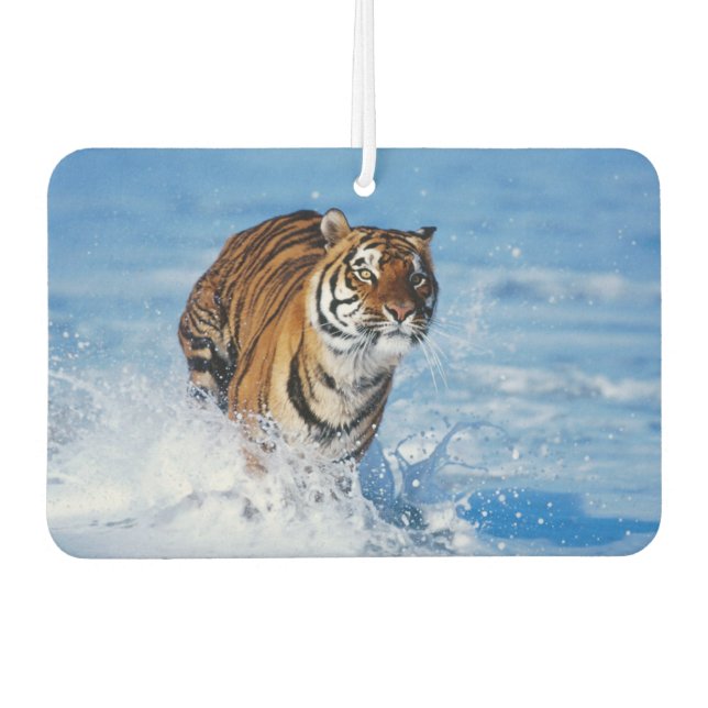 Ambientador Tiger Air Freshener (Anverso)