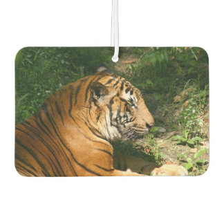 Ambientador Tigre