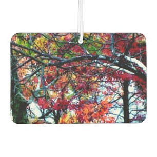 Ambientador Todas las cosas brillantes y aire hermoso Freshner