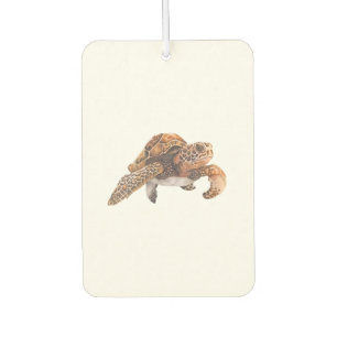 Ambientador Tortuga Copiar Copiar Copiar Copiar Copiar Copiar 