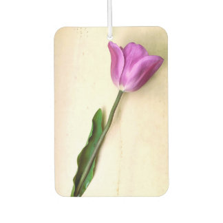 Ambientador Tulip Magenta brillante