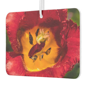 Ambientador Tulip rojo