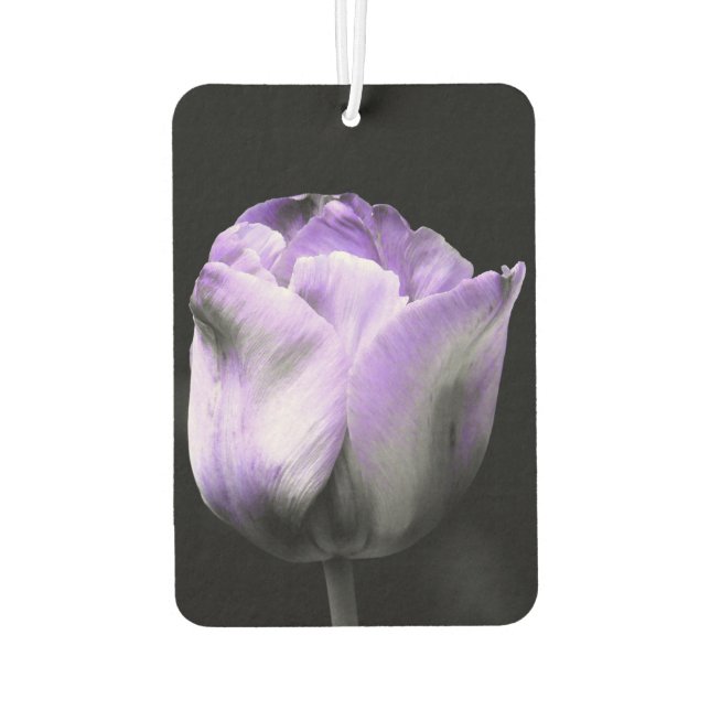 Ambientador Tulipán morado y plateado (Reverso)