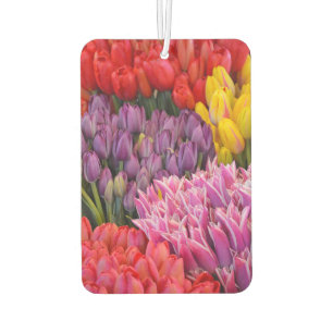 Ambientador Tulipanes coloridos