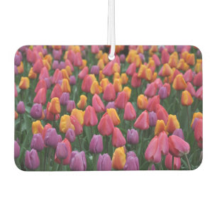 Ambientador Tulipanes de primavera coloridos