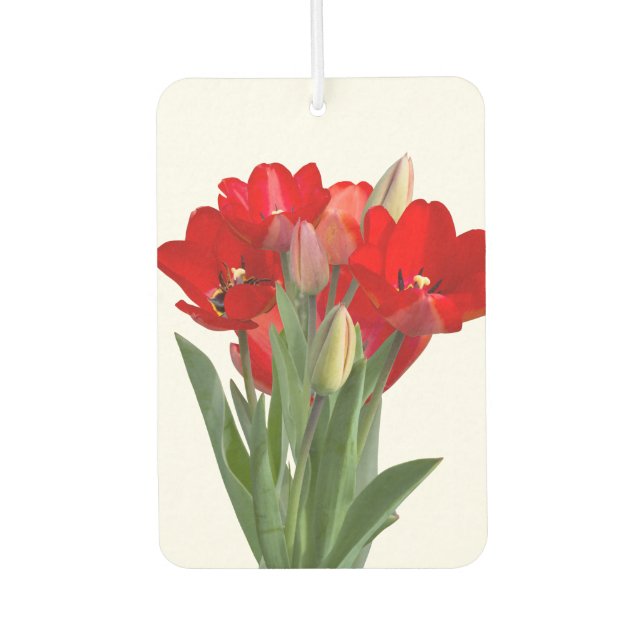 Ambientador Tulipanos (Anverso)