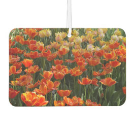 Ambientador Tulips Air Freshener
