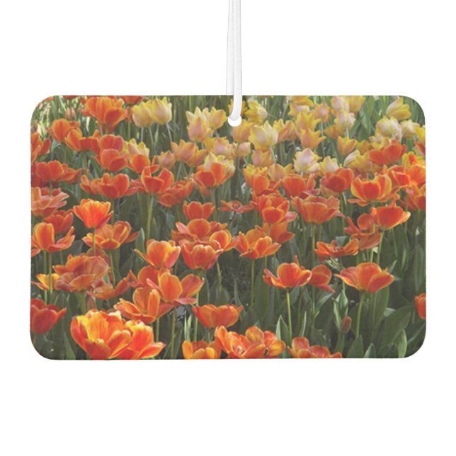Ambientador Tulips Air Freshener (Anverso)