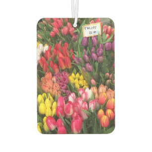 Ambientador Tulips de primavera Tulip Flower NYC Nueva York