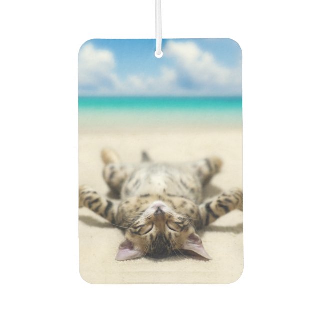 Ambientador Un gato tomando el sol en la playa (Anverso)