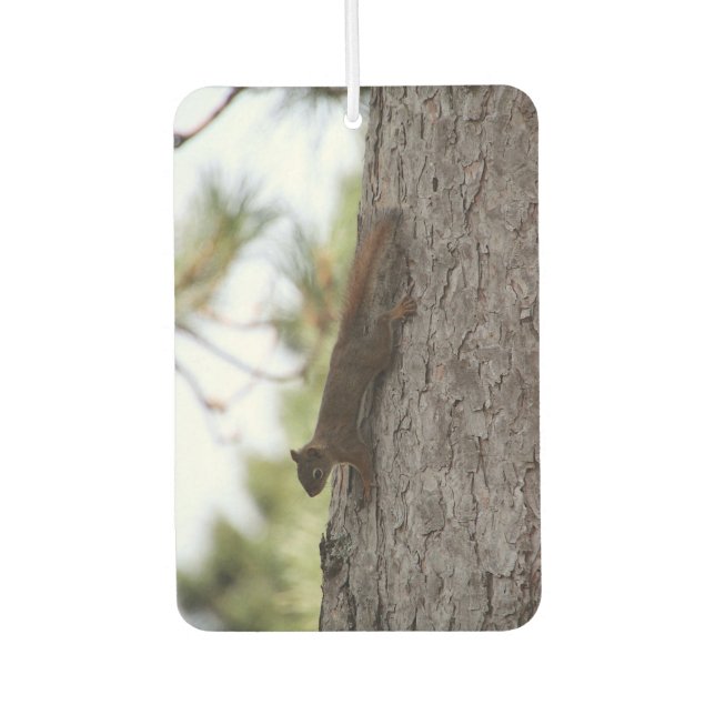 Ambientador Upside Down Squirrel (Anverso)