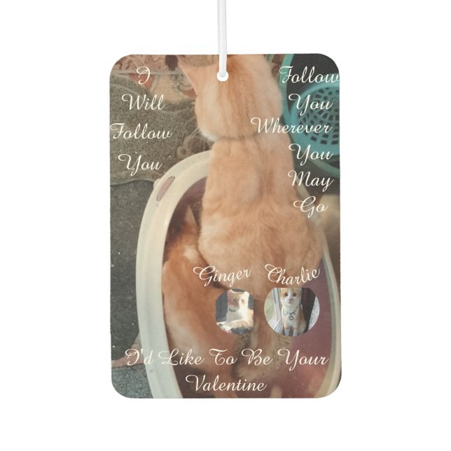 Ambientador Valentine's Humor Cats Photo Text (Anverso)