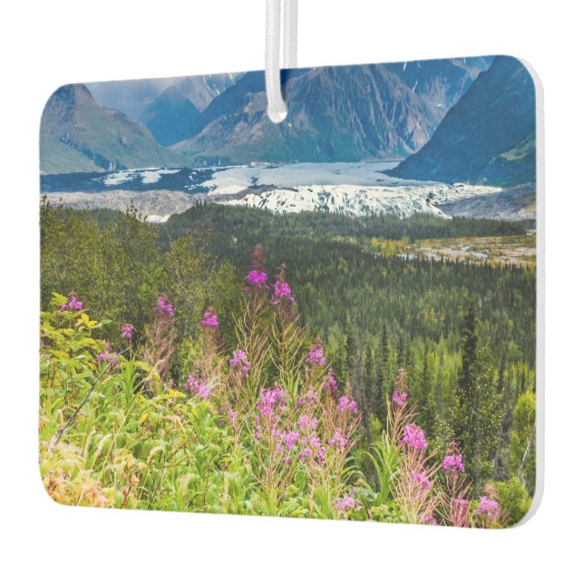 Ambientador Valle de Matanuska, Alaska del Sur (Izquierda)