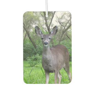 Ambientador Venado en Woods Air Freshener