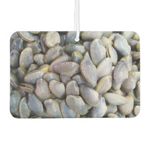 Ambientador Venus Clam [ห อ ย ล ย]