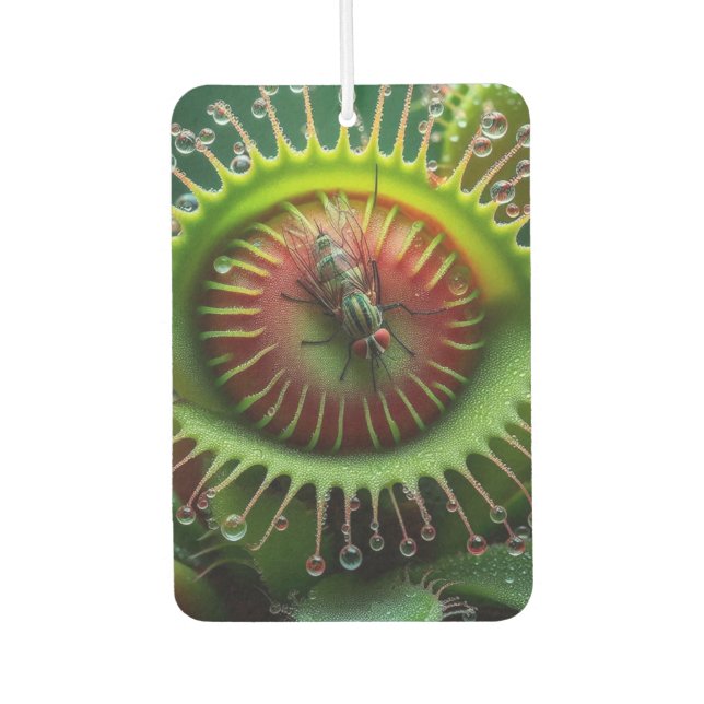 Ambientador Venus Flytrap Floral Whimsical Weird (Anverso)