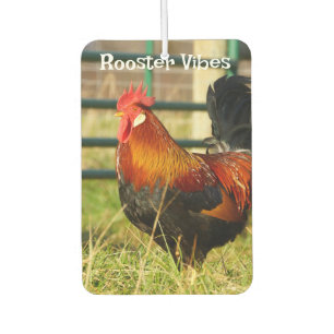 Ambientador Vibes de gallos / Salida de tubería