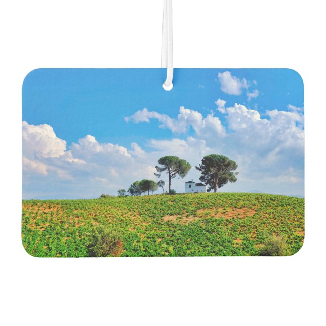 Ambientador Viña de Los Pinos (Anverso)
