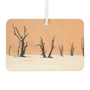 Ambientador Vlei muerto, Namibia