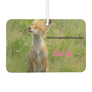 Ambientador Volúmenes Freshner (disponibles adicionales) del