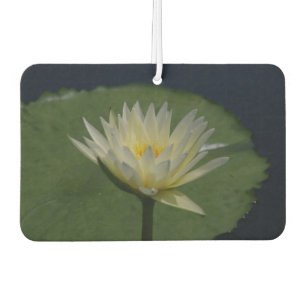 Ambientador White Lotus Waterlily