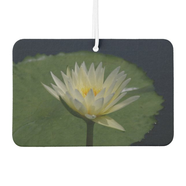 Ambientador White Lotus Waterlily (Anverso)