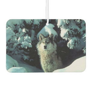 Ambientador Winter Wolf