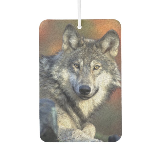 Ambientador Wolf (Anverso)