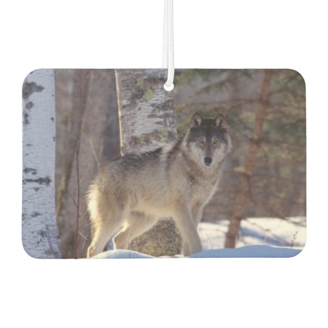 Ambientador Wolf Air Freshener (Anverso)