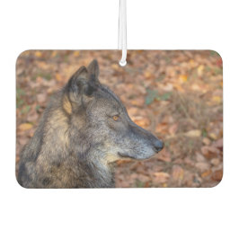 Ambientador Wolf en otoño