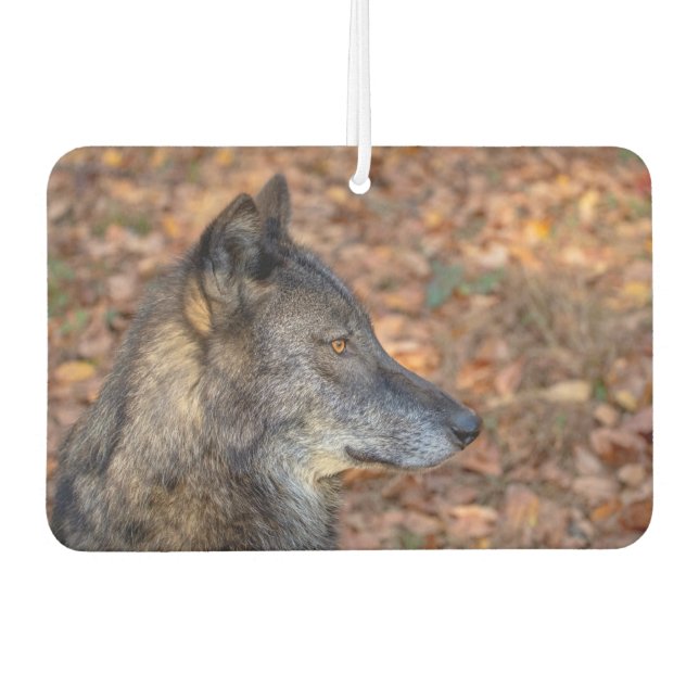 Ambientador Wolf en otoño (Anverso)