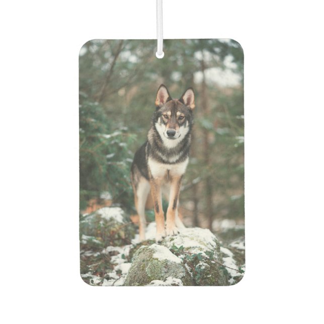 Ambientador Wolfdog (Anverso)