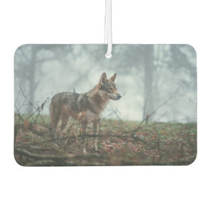 Ambientador Wolfdog