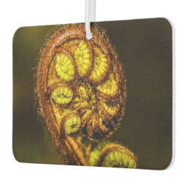 Ambientador Young Fern Leaves